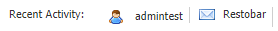 Recent Activity Log