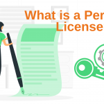What is a Perpetual License