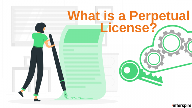What is a Perpetual License